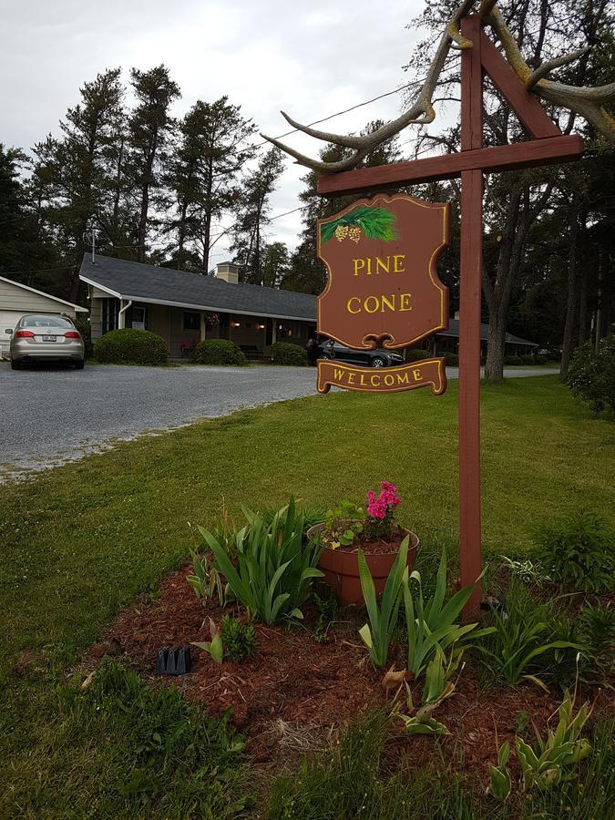 Pinecone Motel Sussex Eksteriør bilde